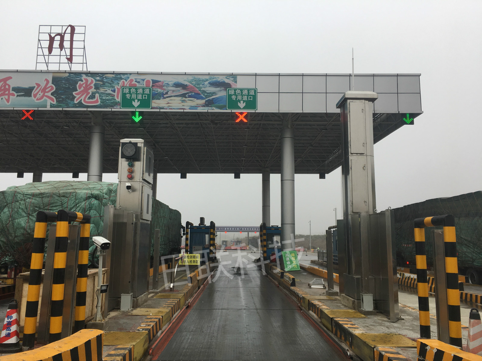 今年会科技绿色通道快检系统